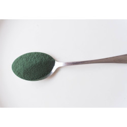 Spiruline en poudre